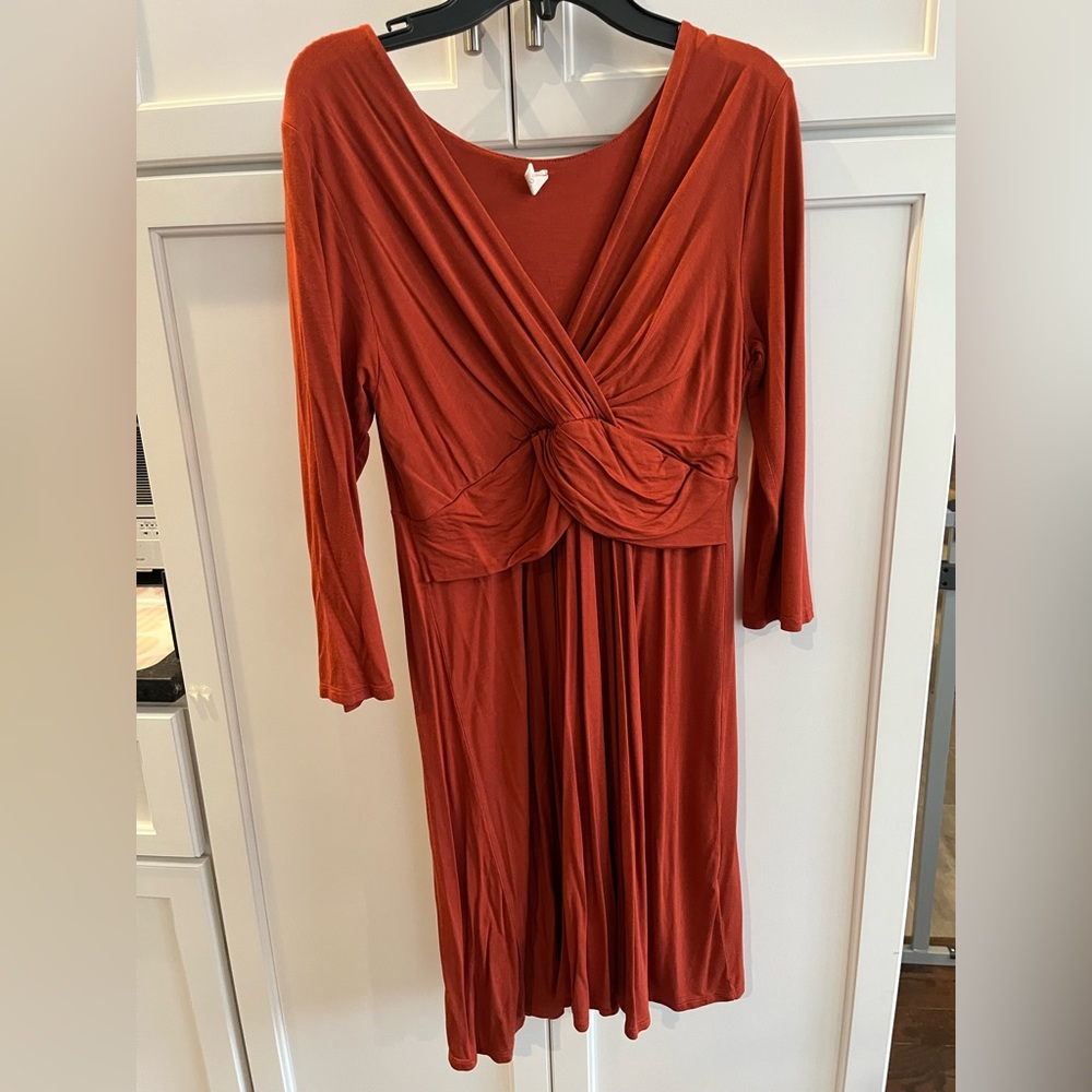 Pinkblush Burnt Orange Maternity Nursing Dress